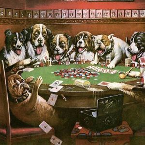 Meet your Posher, Jason